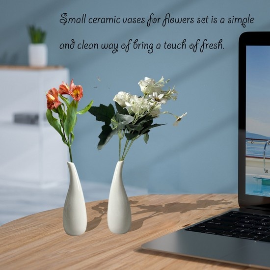 Small Ceramic Vases Set of 2 White Decorative Farmhouse Kitchen Decor Flower Vase for Wedding Scene Desktop Center Vase