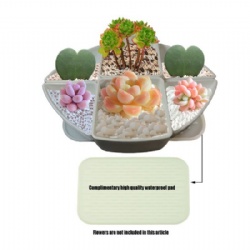 Assorted 6 Pcs Succulent Planters Bonsai Display Bud Vase Pots for Plants Containers with Drain Hole for Indoor Windowsill Gardens